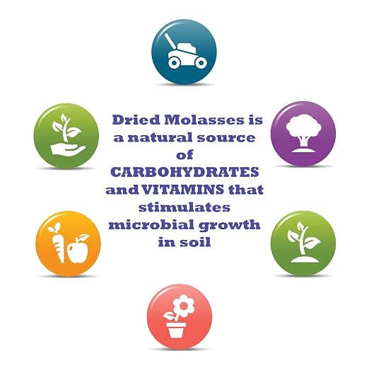 Dried Molasses