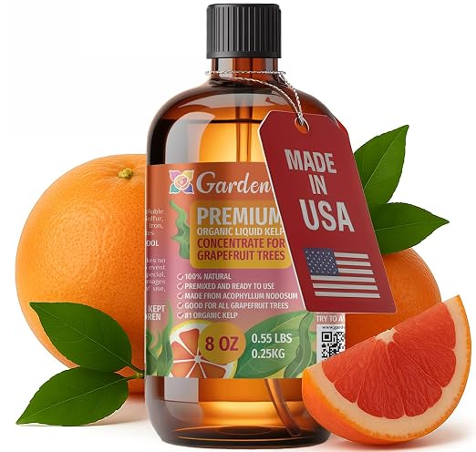 GRAPEFRUIT