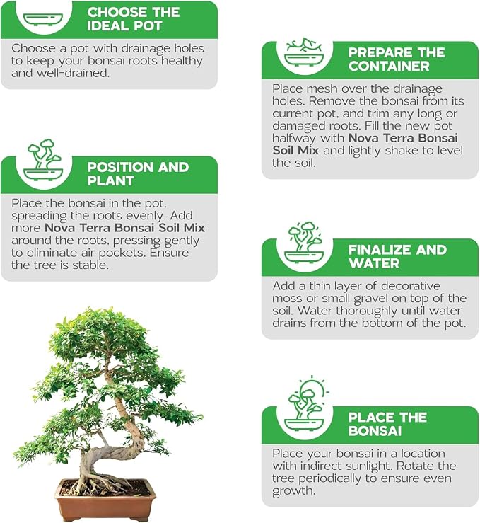 Bonsai Soil