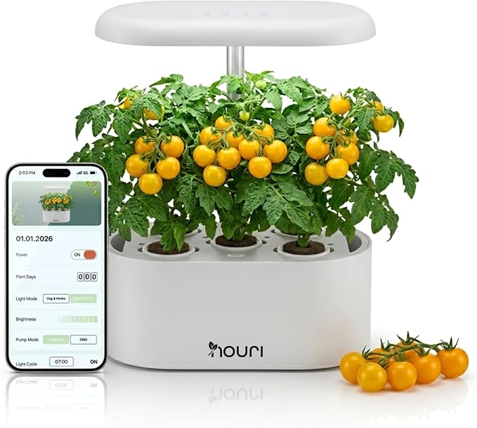 White with App