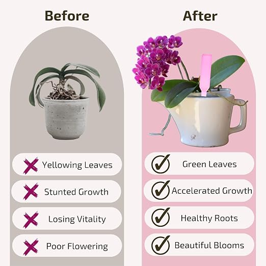 Orchid Fertilizer