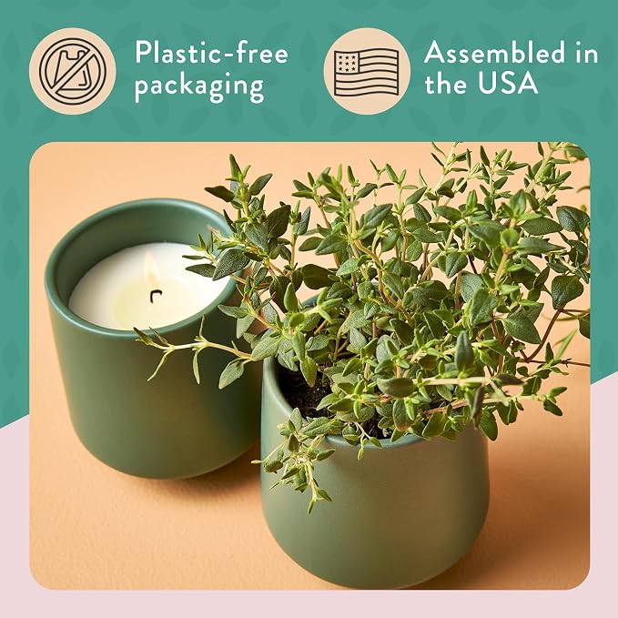 2-Pack Thyme & Tonka Bean
