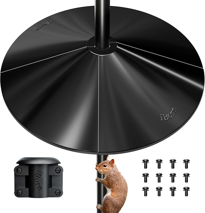 19.5Inch, Black, Chew-Proof PC, Pack Of 1