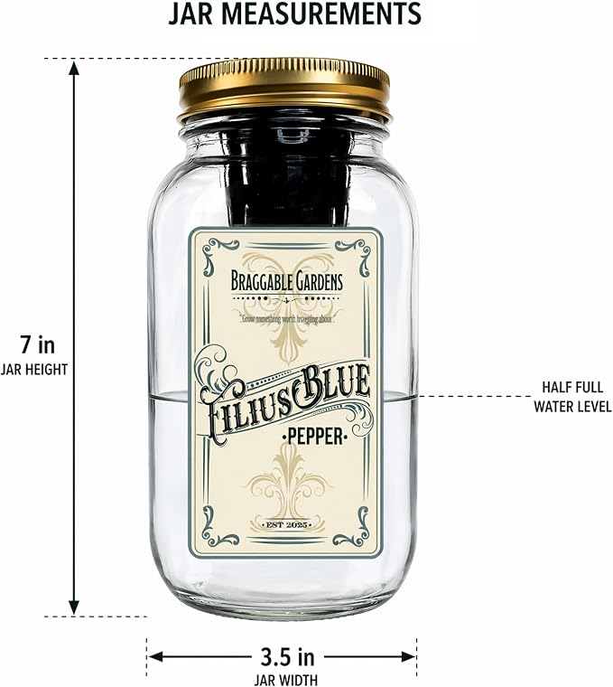 Filius Blue Pepper