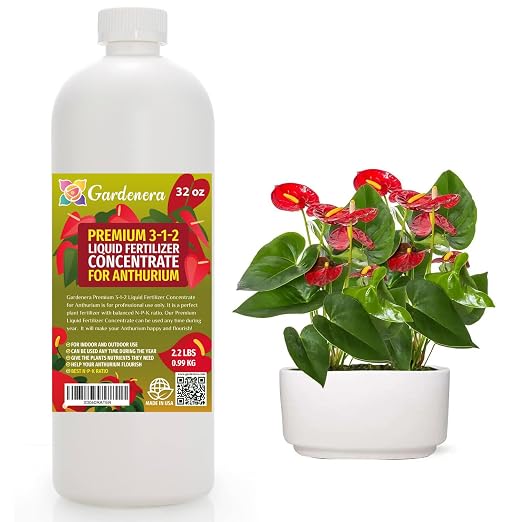 ANTHURIUM