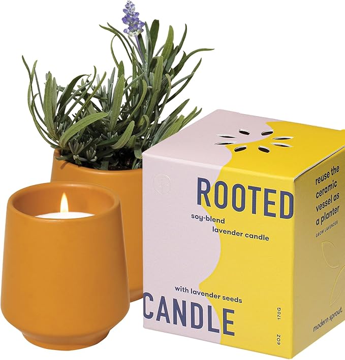 1-Pack Lavendar & Cedarwood