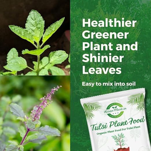 Tulsi Plant Food