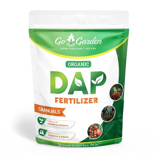DAP