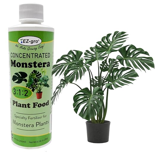 Monstera