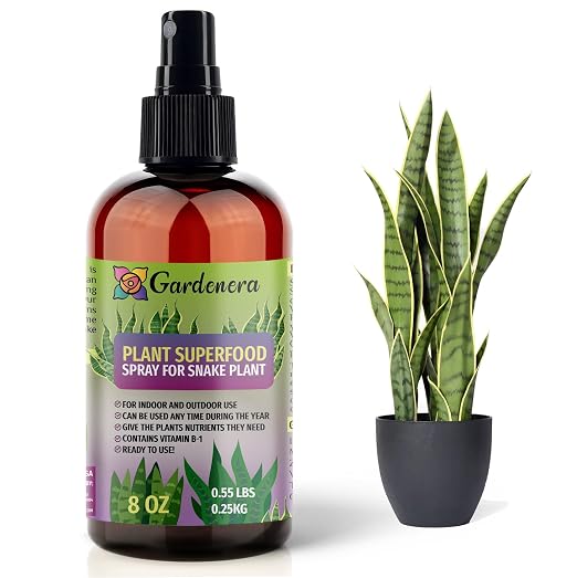 SNAKE Plants Superfood
