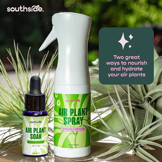 Concentrated Air Plant (1 Oz)