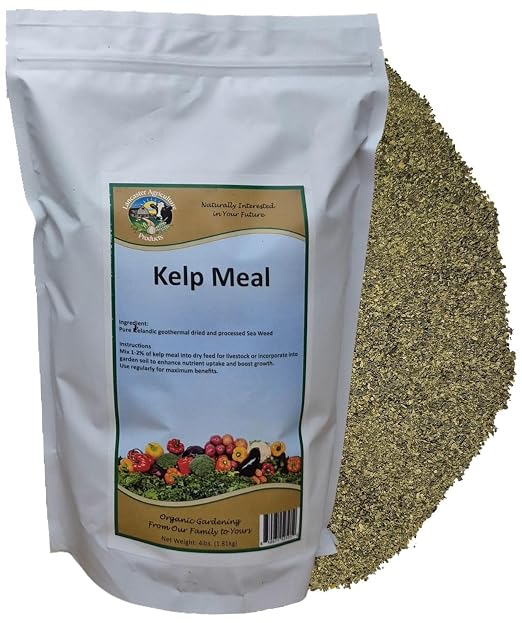 Kelp Meal