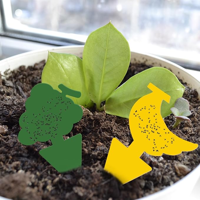 Yellow, Green