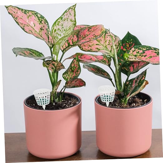 Transparentx4pcs