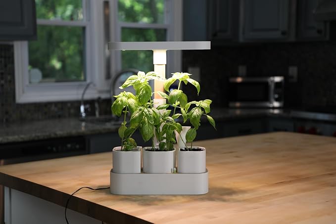Good Root; Tabletop Planter; White; Dark Oak