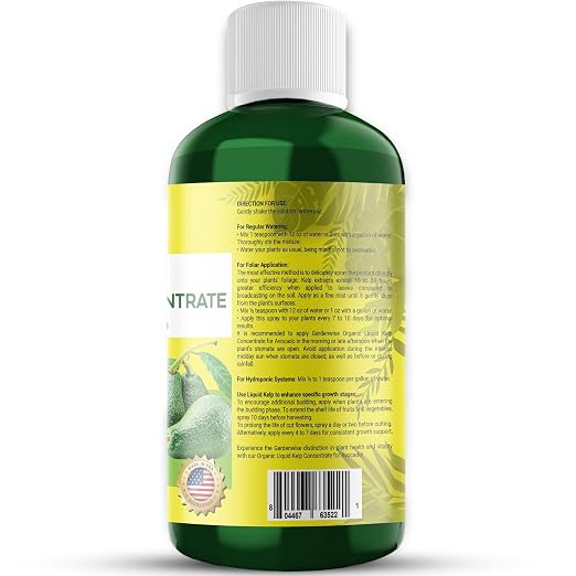 Avocado Tree Kelp Fertilizer