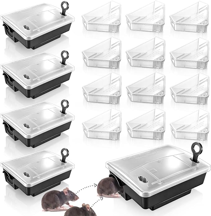Clear, Black