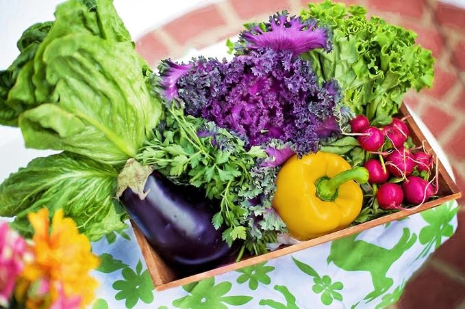 250 Vegetable Seeds