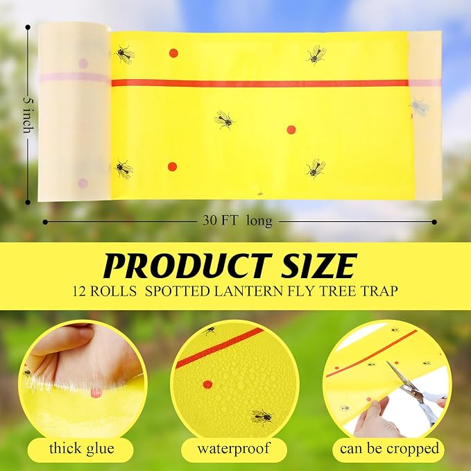 Yellow and Red