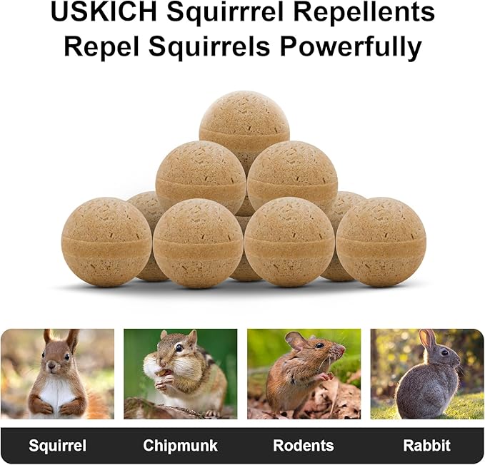 Brown-squirrel