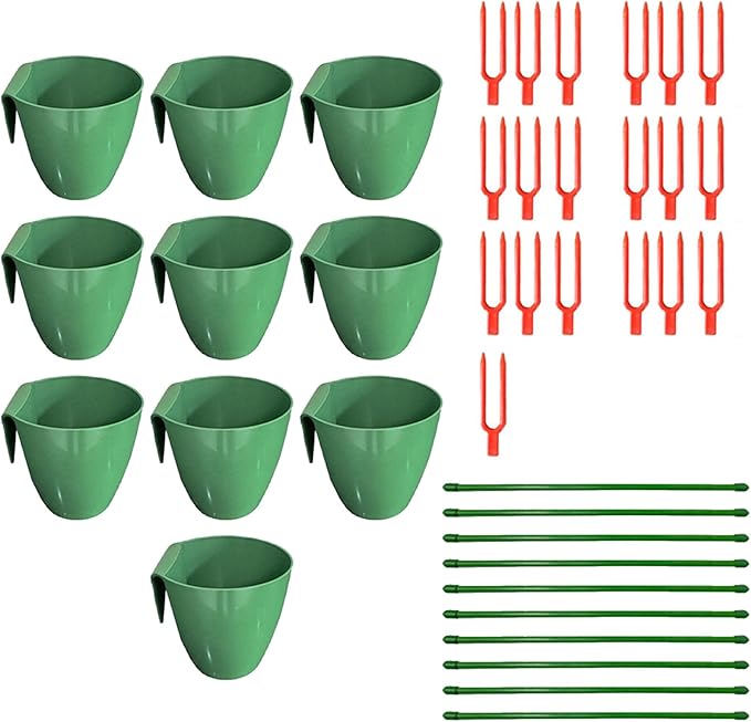 8-type