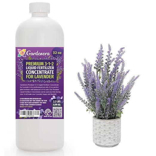 LAVENDER