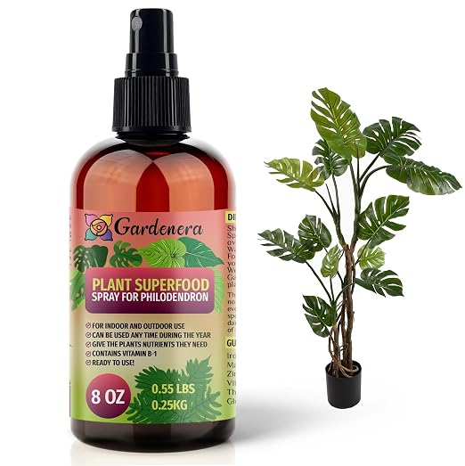PHILODENDRON Plants Superfood