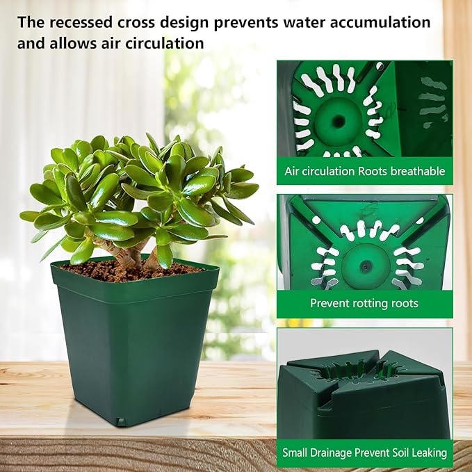 Green-100p