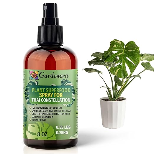THAI CONSTELLATION Plants Superfood