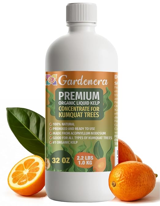 KUMQUAT