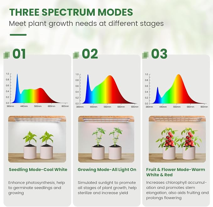 6 Bars