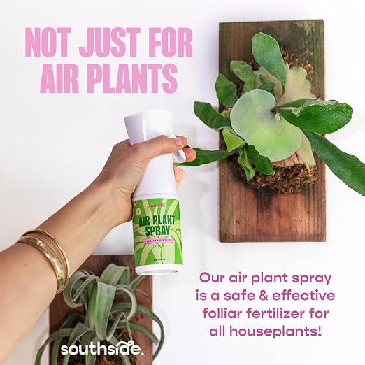 Air Plant Spray 16-9-25 (7.3 Oz)