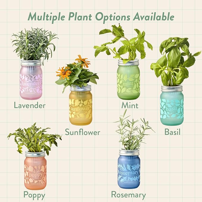 Basil + Lavender + Sunflower