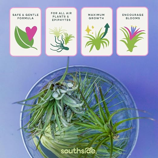 Concentrated Air Plant (1 Oz)