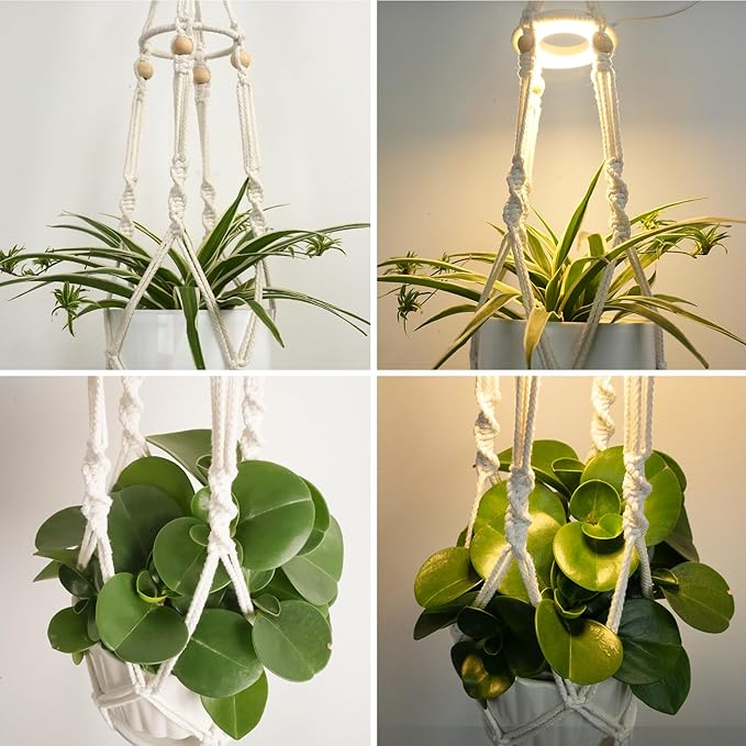 Plant Hanger Ivory(growpro)