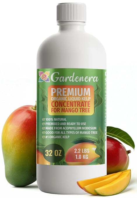 MANGO TREE