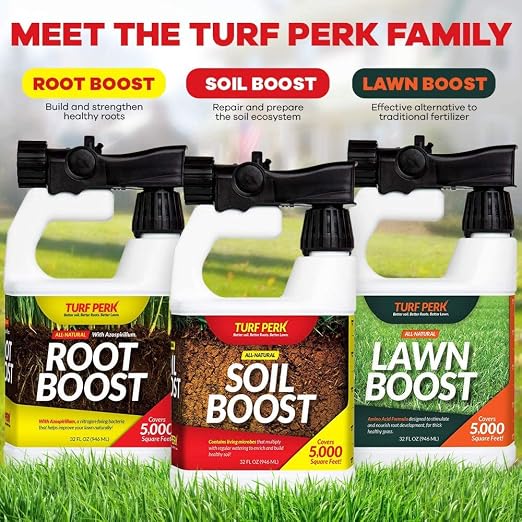 Root Boost