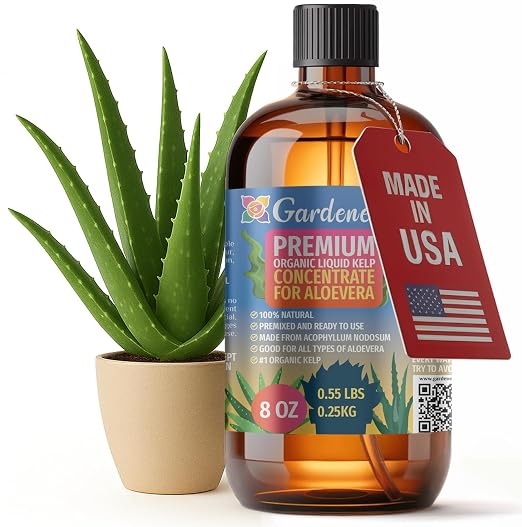 ALOE