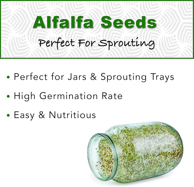 Organic Alfalfa