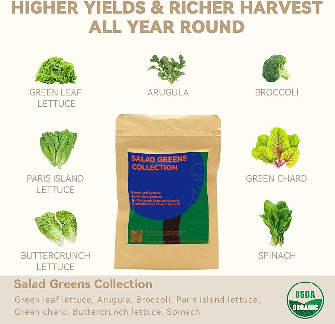 Salad