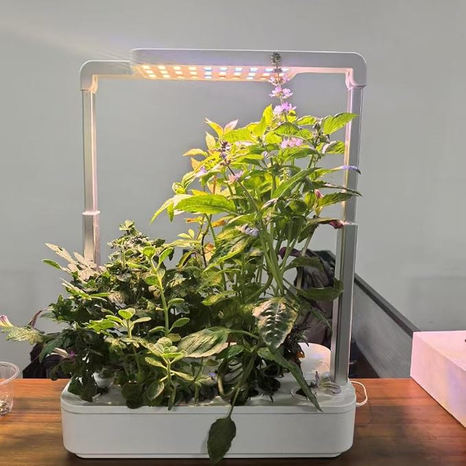 __DEFAULT__