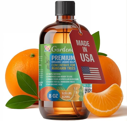 MANDARINE