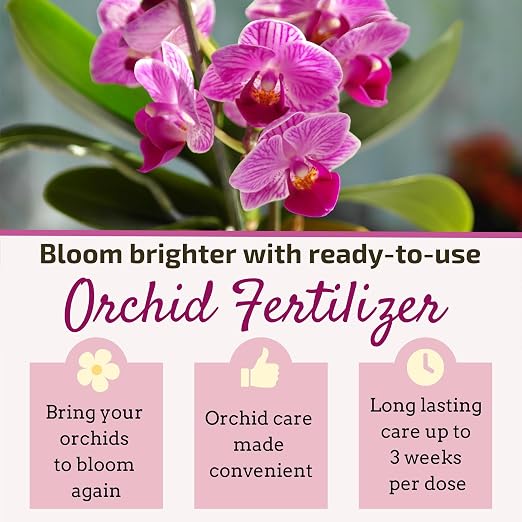 Orchid Fertilizer