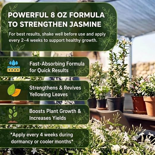 Jasmine