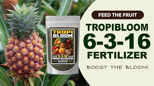 TropiBloom