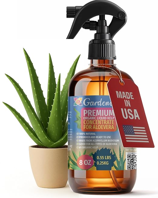 ALOE