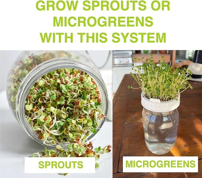Sprouts Growing Kit & Green Onion Regrower