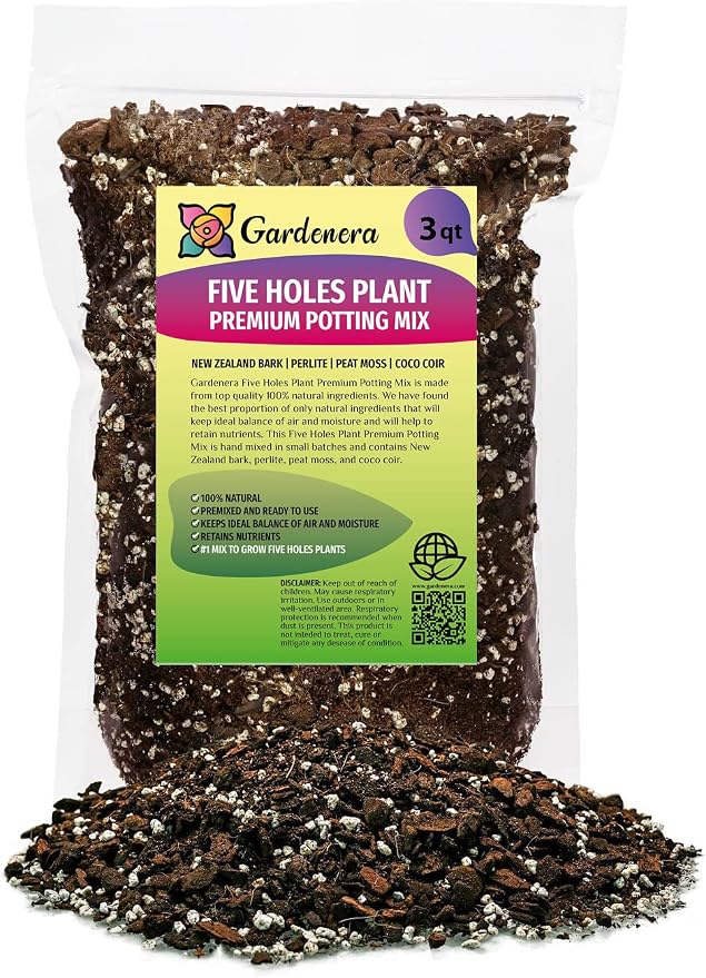 Five Holes Monstera Soil Mix