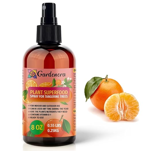 TANGERINE Plants Superfood