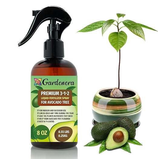 AVOCADO